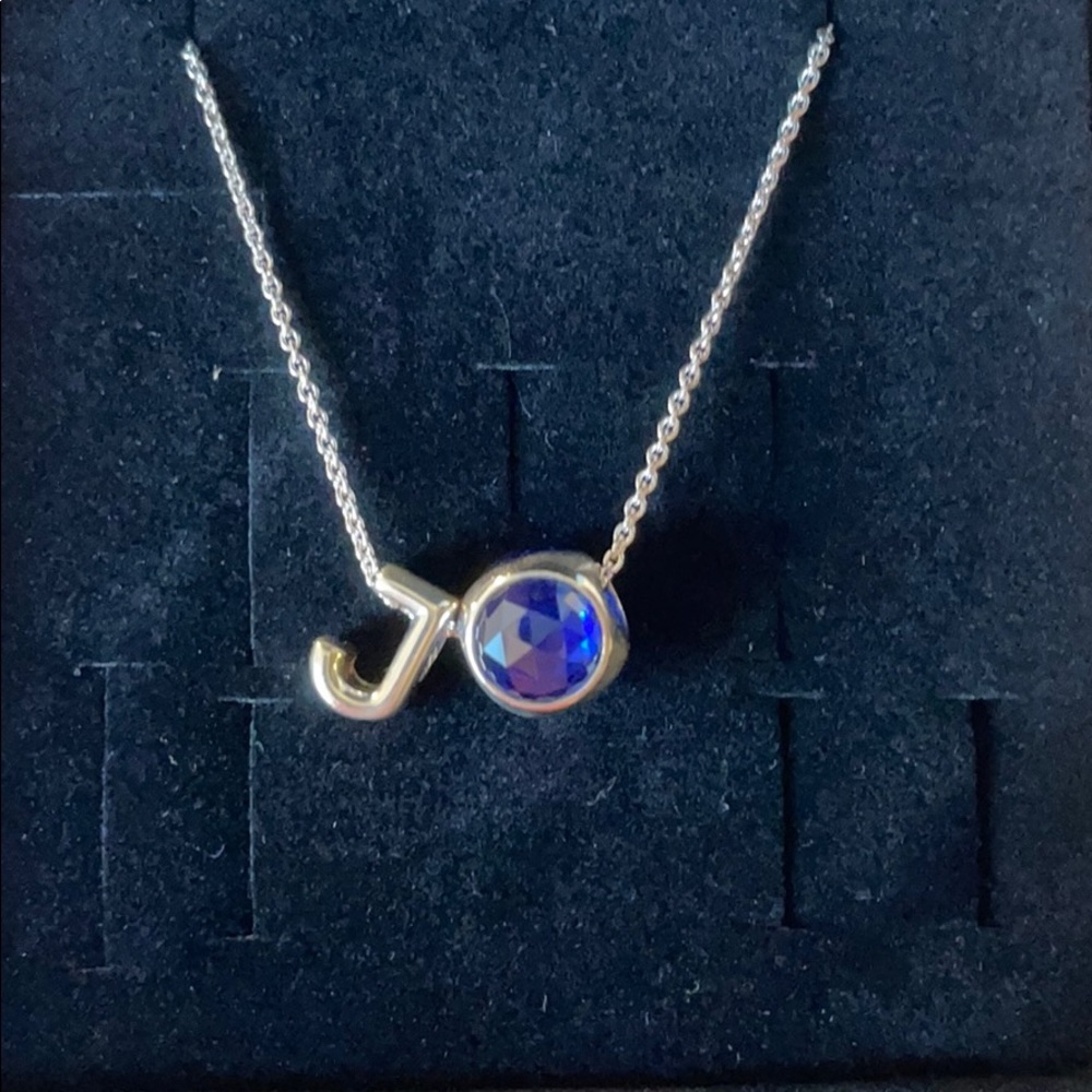 NWOT Pandora charms and necklace